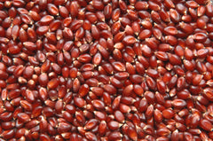5kg Rich Ruby Red